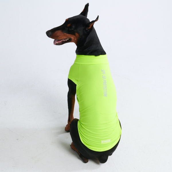 Sunblock Hunde-T-Shirt – Neon