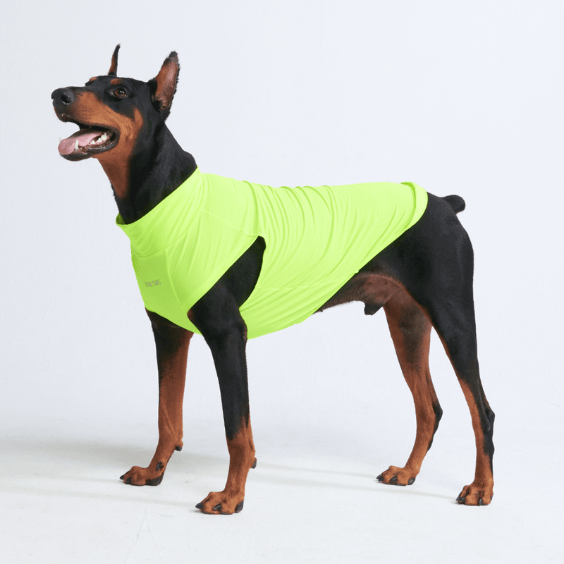 Neon Shirt