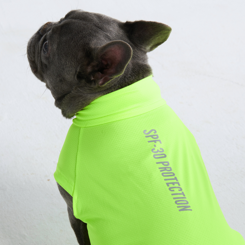 Sunblock Hunde-T-Shirt – Neon