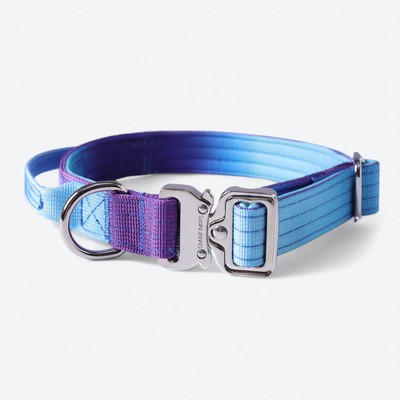 Taktisches Hundehalsband - und Leinen-Set - 90s Retro