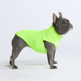 Neon Shirt