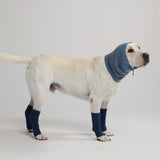 Beruhigender Hund-Ohrenschützer gegen Angst - Marineblau