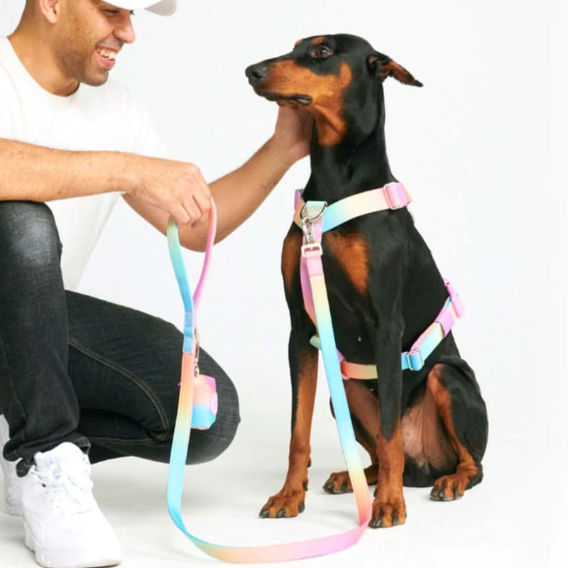 Komfort-Kontrolle No-Pull Hundegeschirr set - Pastellglasur