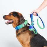 Taktisches Hundehalsband - und Leinen-Set - Limewelle