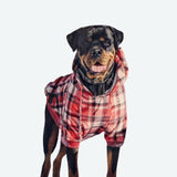 Rot-karierter Hunde Hoodie