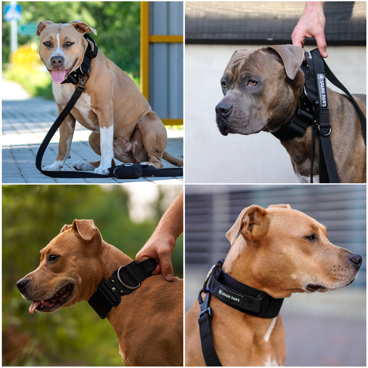 taktisches halsband hund Taktisches Hundehalsband (verstellbar) main image 1