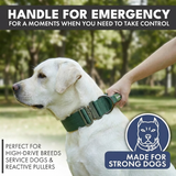 Green Collar||size:XS,S,M,L