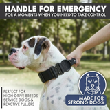 Taktisches Hundehalsband- und Leinen-Set - Schwarz