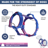 Komfort-Kontrolle No-Pull Hundegeschirr - Rosa-Blau