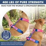 Komfort-Kontrolle No-Pull Hundegeschirr - Rosa-Blau