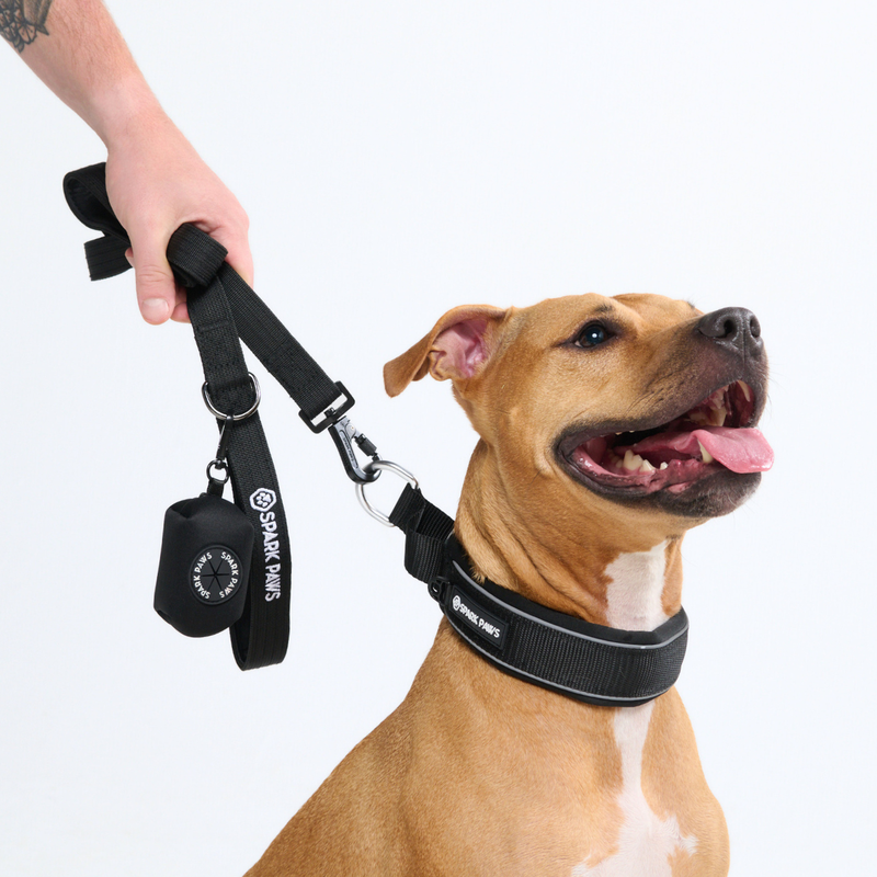 Black Martingale Collar||size:C,D,E