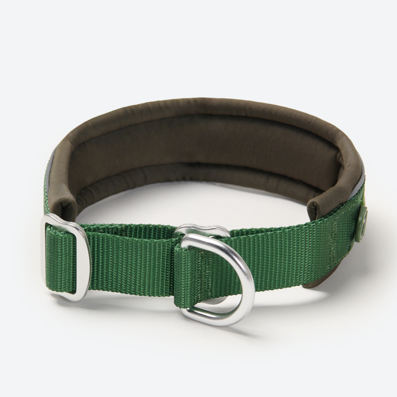 Green Martingale Collar||size:C,D,E