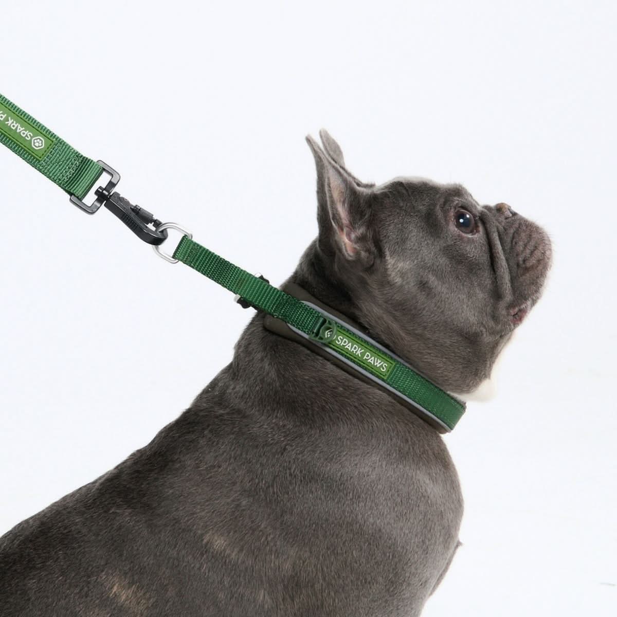Gepolstertes Martingal-Halsband – Armeegrün – SPARK PAWS