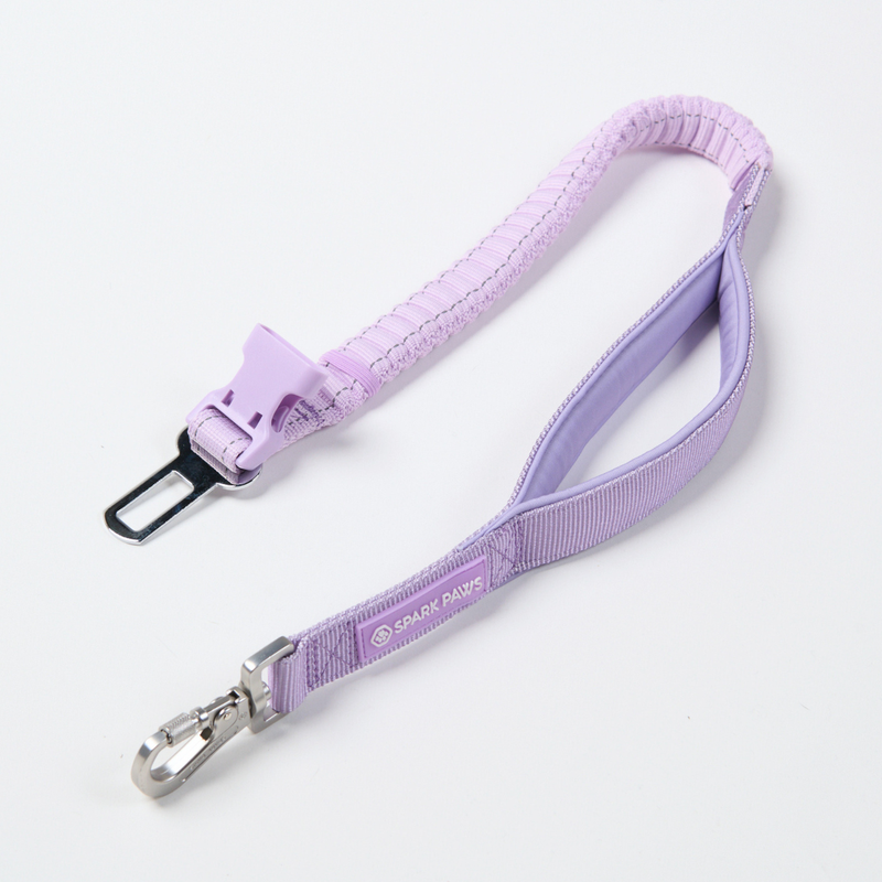 Lilac Neoprene Leash
