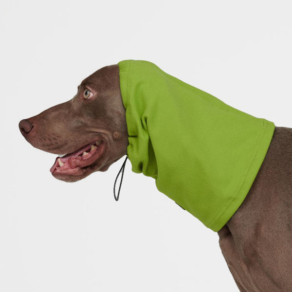 Beruhigender Hund-Ohrenschützer gegen Angst - Limettengrün