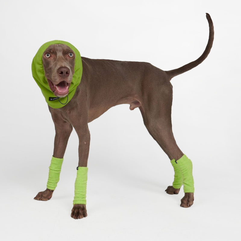 Beruhigender Hund-Ohrenschützer gegen Angst - Limettengrün