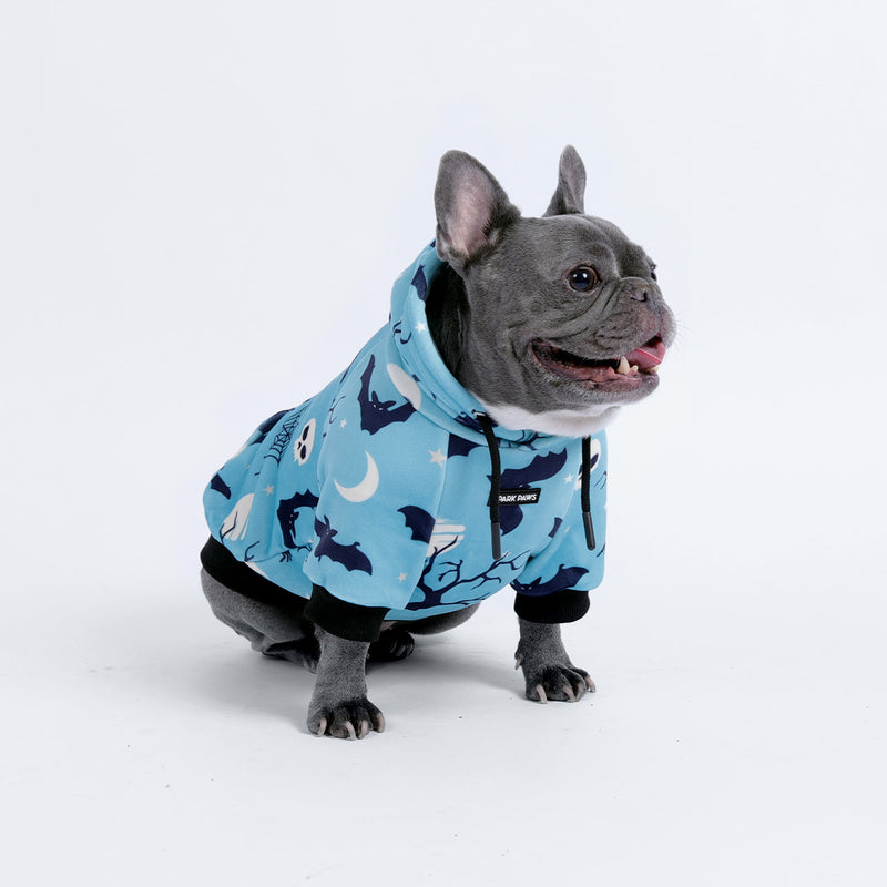 Halloween Hundehoodie - Blaugrün
