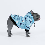 Halloween Hundehoodie - Blaugrün