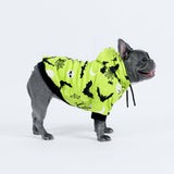 Halloween Hundehoodie - Neon