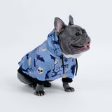 Halloween Hundehoodie - Blau
