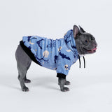 Halloween Hundehoodie - Blau