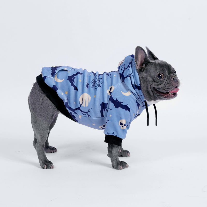 Halloween Hundehoodie - Blau