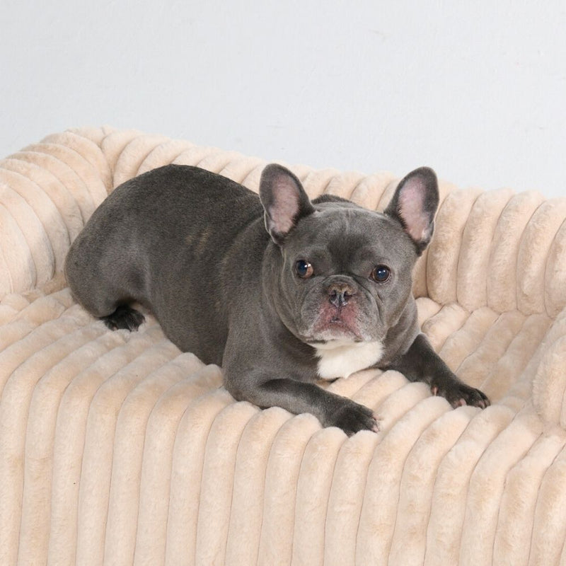 Luxus Sofa-Schonbezug Hundebett - Beige