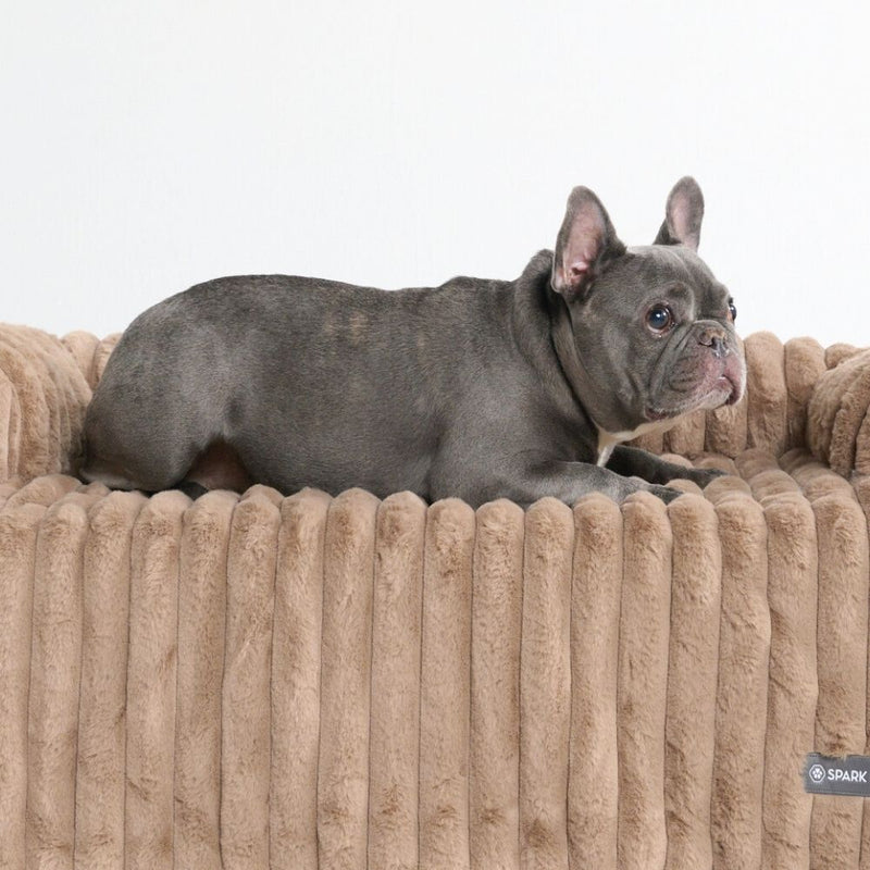 Luxus Sofa-Schonbezug Hundebett - Braun