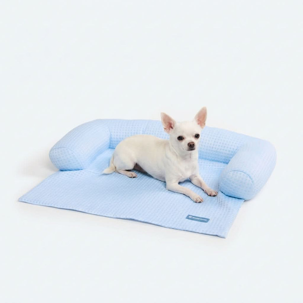 pee smart katzenstreu PeeWee EcoHus Starterpaket Schwarz