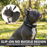 Black Martingale Collar||size:A,B