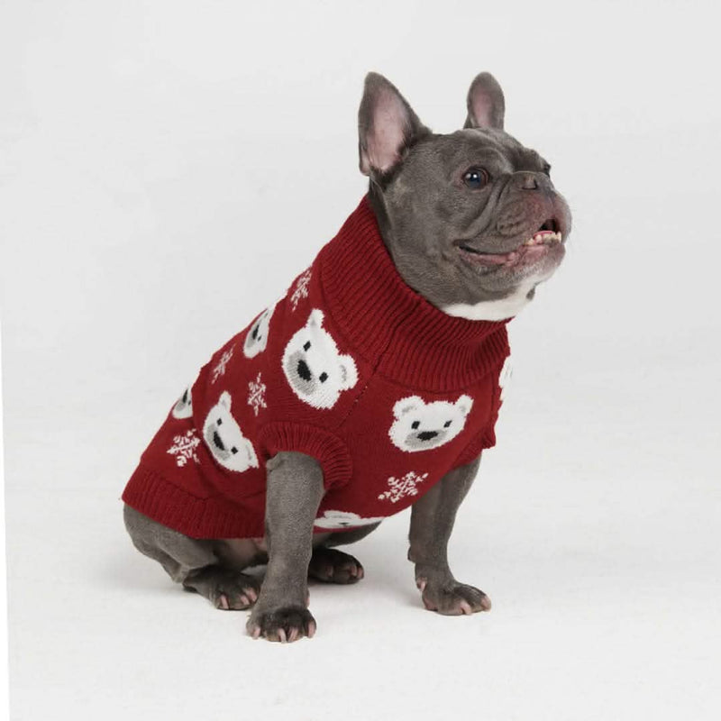 Gestrickter Hundepullover - Eisbär