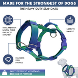 Lime Wave Harness||size:S,M,L