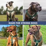 Green Harness||size:S,M,L