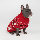 Gestrickter Hundepullover - Dasher Rot