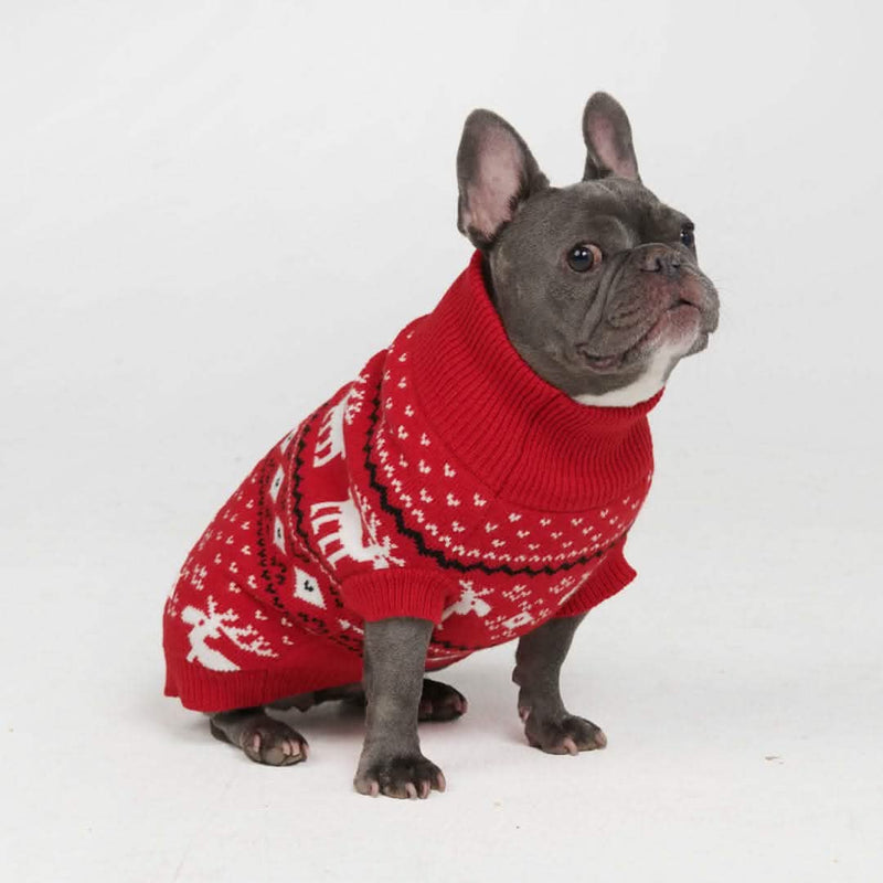 Gestrickter Hundepullover - Dasher Rot