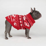 Gestrickter Hundepullover - Dasher Rot
