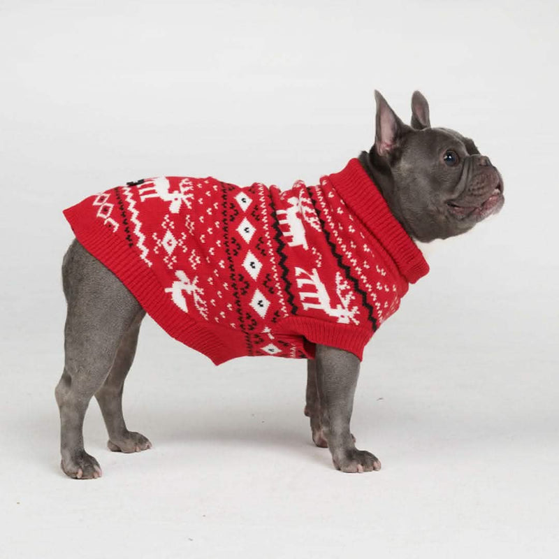 Gestrickter Hundepullover - Dasher Rot