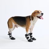 size:C) Width: 2.4"/6.0cm for 40-60lbs/18-27kg