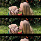 Ranger Hundehoodie