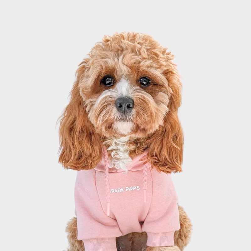 Essentielles Hunde Hoodie - Blassrosa