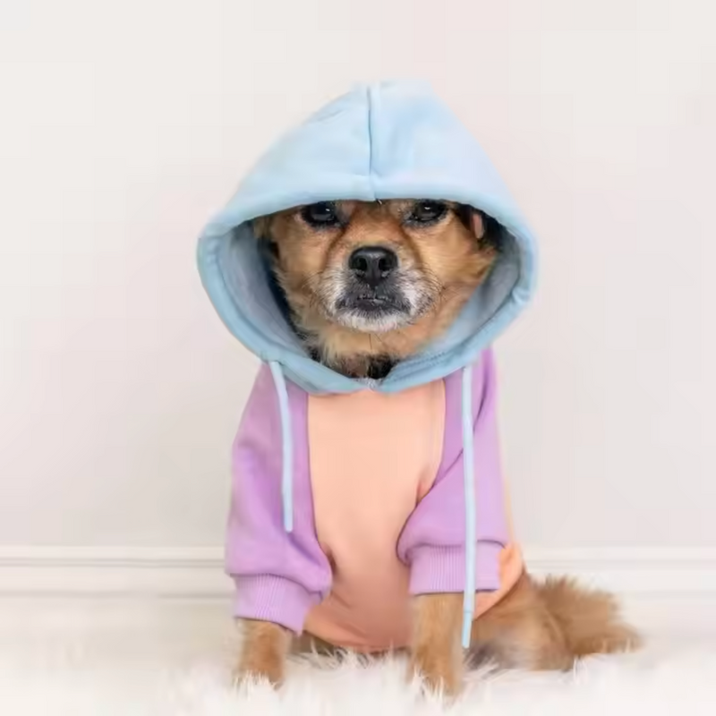 Bonbon Hunde Hoodie