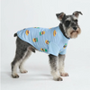 Hundebekleidung