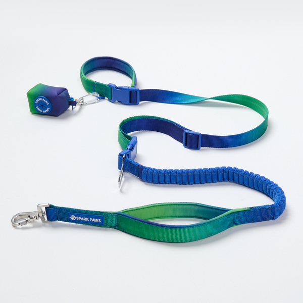 Lime Wave Neoprene Leash