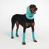 Dehnbare Fleece-Beinwärmer für Hunde - Türkis