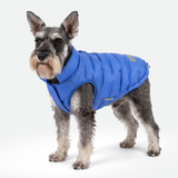 Blue Thermosonic Winter Jacket||size:M