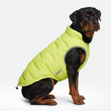 Neon Thermosonic Winter Jacket||size:4XL
