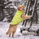 Neon Thermosonic Winter Jacket||size:S,M,L,XL,2XL,3XL,4XL