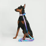 Taktisches Hundehalsband - und Leinen-Set - 90s Retro