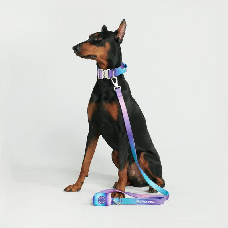Taktisches Hundehalsband - und Leinen-Set - 90s Retro