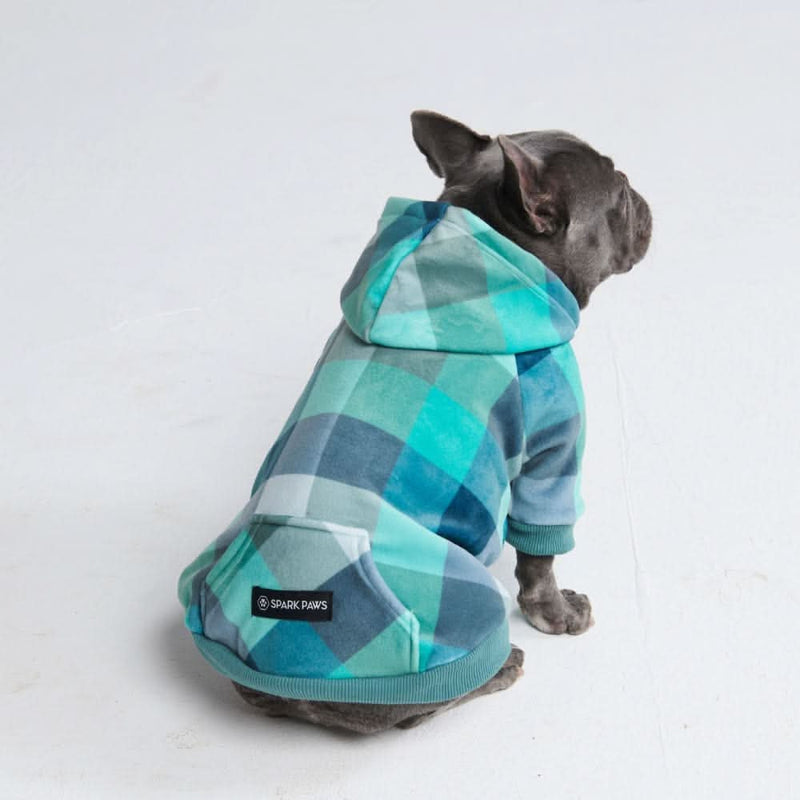 Samtiger Hunde Hoodie - Türkis-karierter
